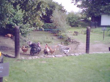 la ferme